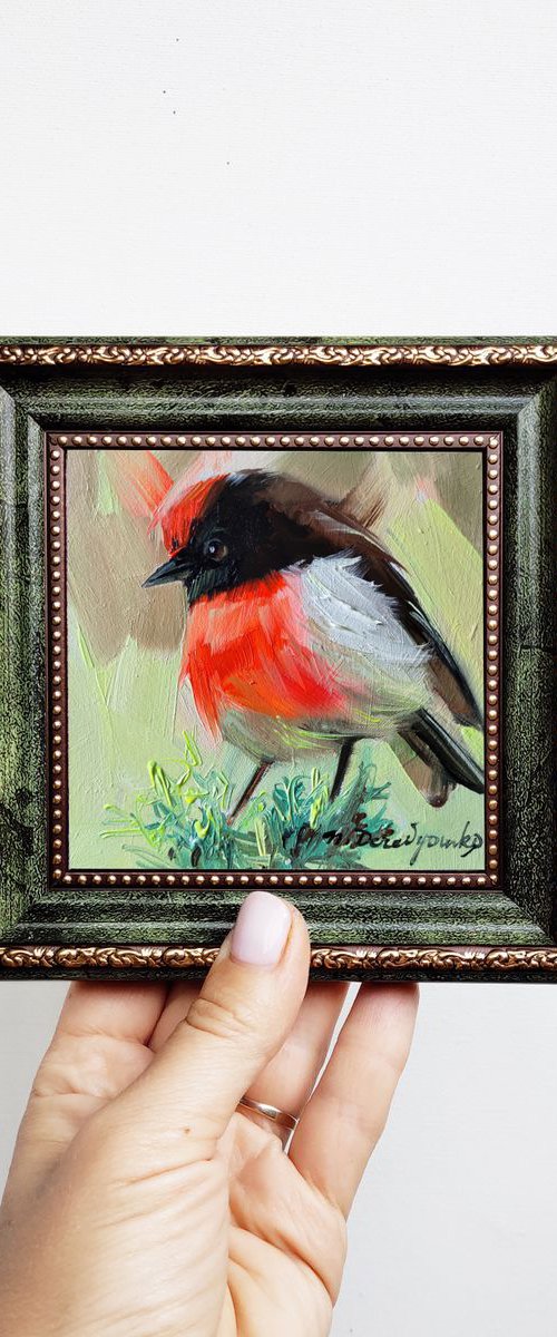 Red-capped Robin bird by Nataly Derevyanko