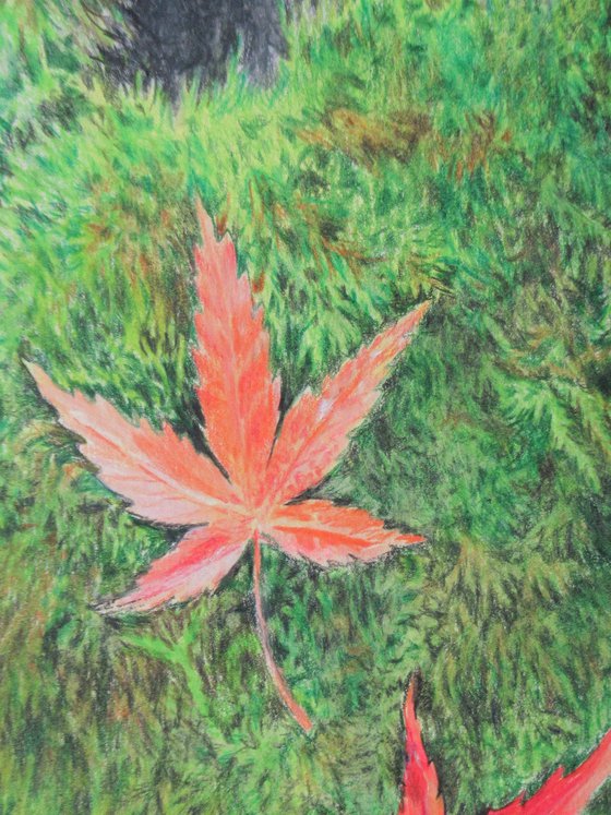 Fallen Leaves On A Mossy Rock