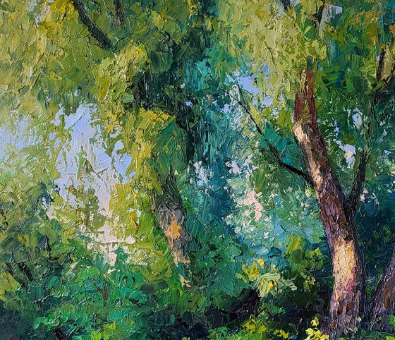 Willows in the summer forest