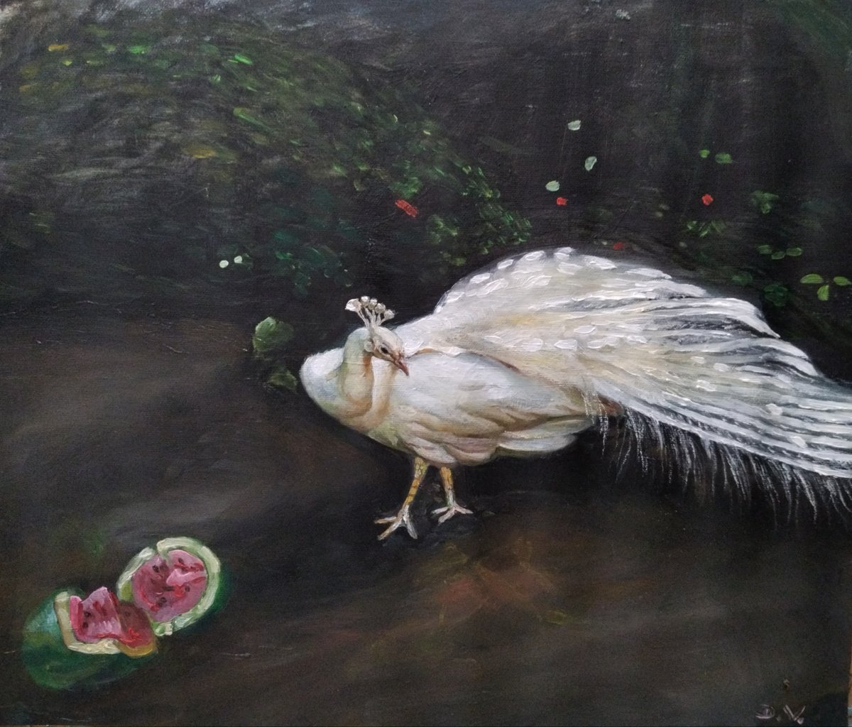 Animal Oil Painting By Viktoria Deri, 17 X 14", White Peacock, Original Artwork