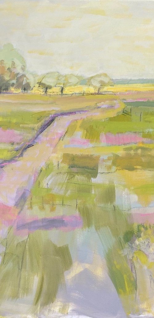 May by Chrissie Havers