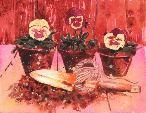 Potting shed Pansies - Original Watercolour Painting by Alison Fennell