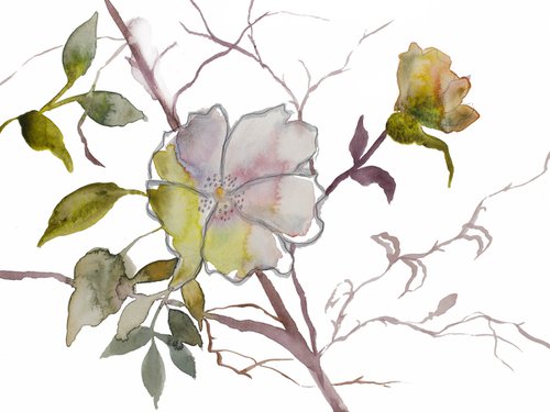 Wild Rose No. 18 by Elizabeth Becker