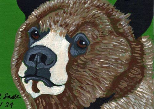 Brown Bear by Carla Smale