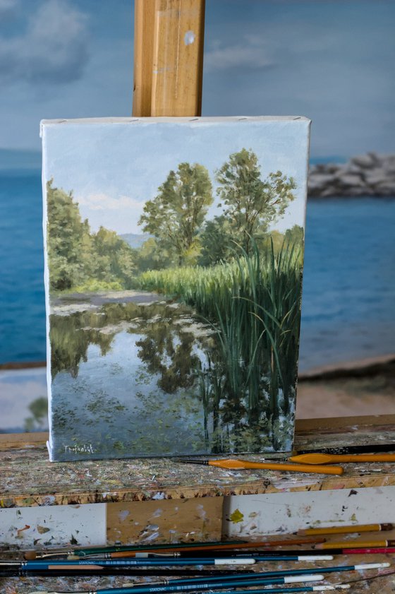 Swamp of Rasina