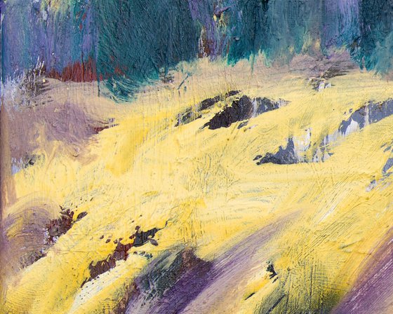 Lavender Meadows