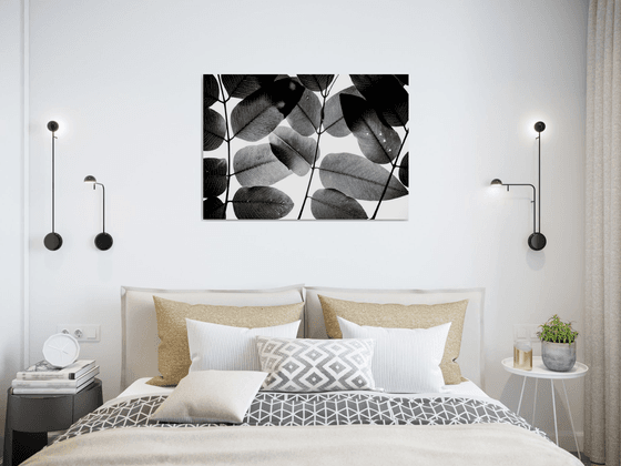 Experiments with Leaves II | Limited Edition Fine Art Print 1 of 10 | 75 x 50 cm