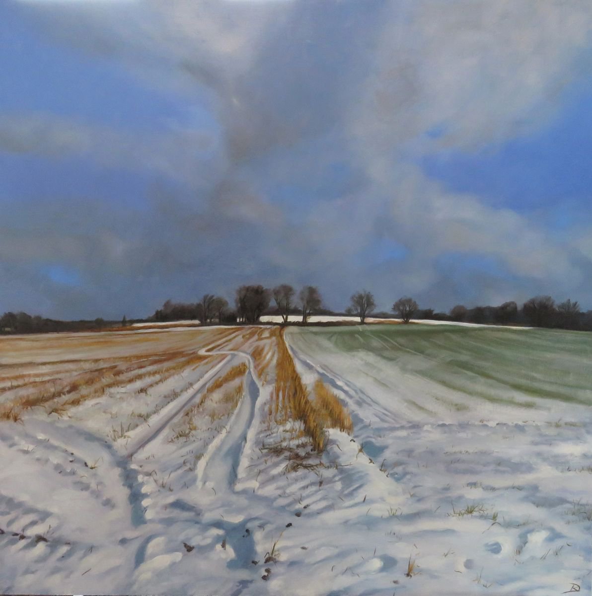 Snow Tracks by Kerry Lisa Davies
