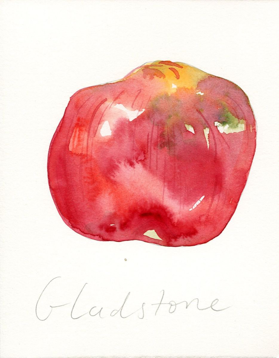 Gladstone Apple Watercolour by Hannah Clark