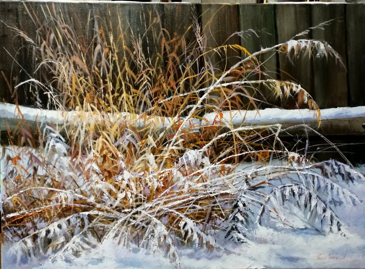 at the fence by Irina Potselueva