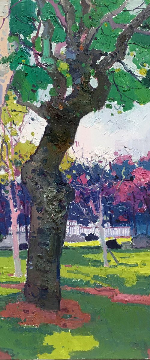 Beautiful Park 254 by jianzhe chon