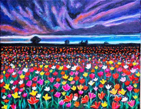 Floral fields Tulips at sunset