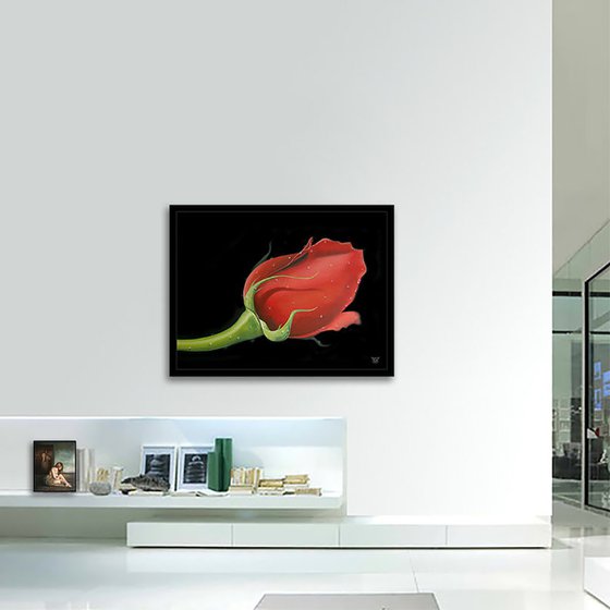 Red Rose