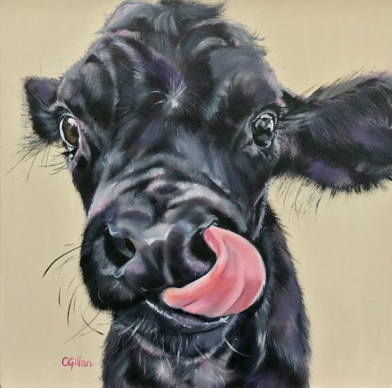 Yum! Black calf cow original oil painting 14x14"