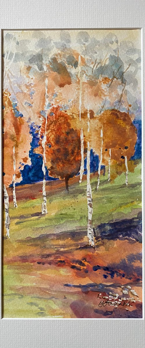Abstracted Silver birches by Teresa Tanner