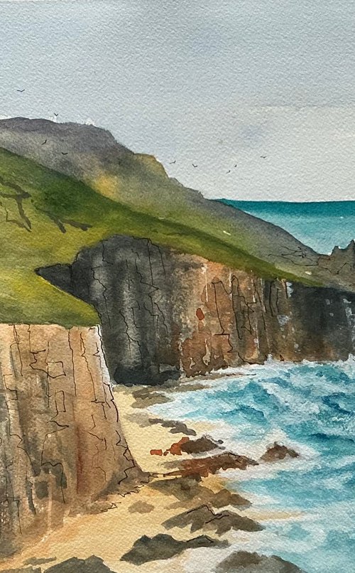 Chuffs flying on Trevose Head by Brian Tucker