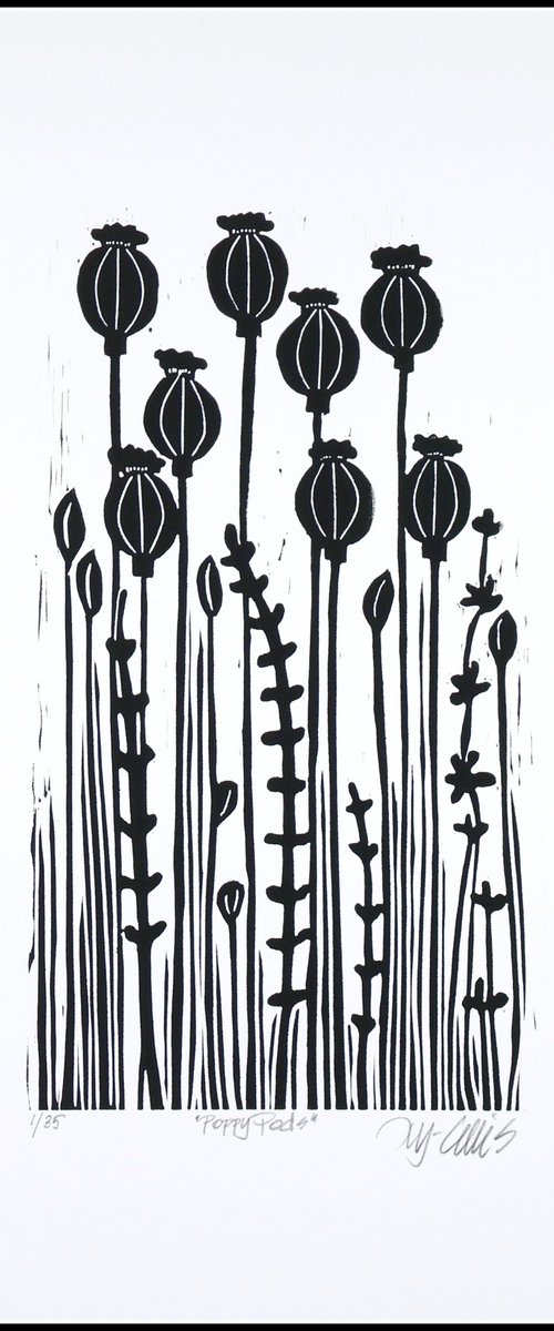 Poppy Pods by Mariann Johansen-Ellis