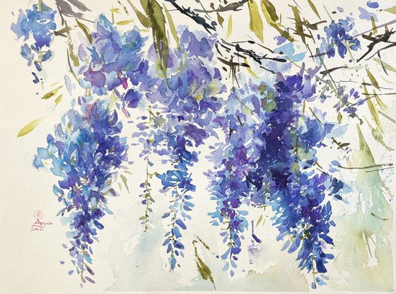 Wisteria blues