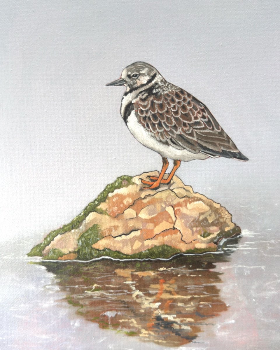 Expressive Animal Oil Painting By Jem Gooding, 11 X 12, Turnstone, Original Artwork