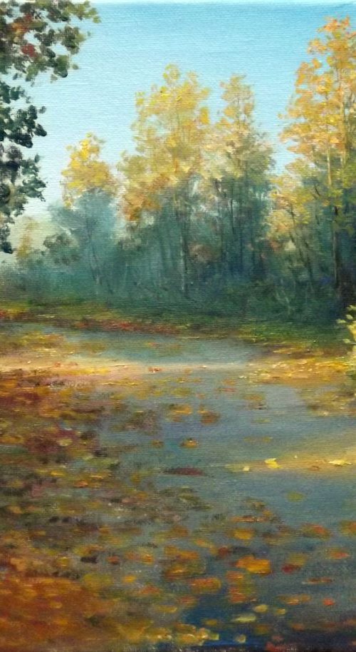 Autumn Path by Dalia Barke