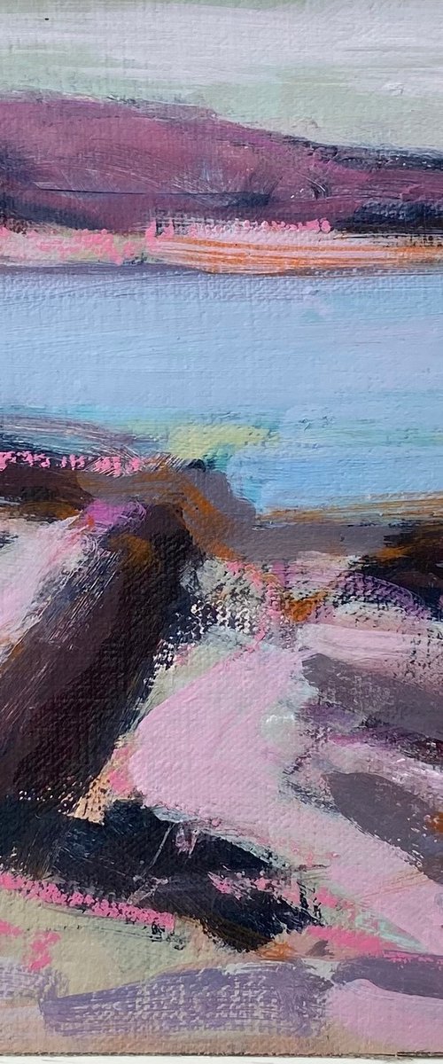 Where Seabirds Cry by Chrissie Havers