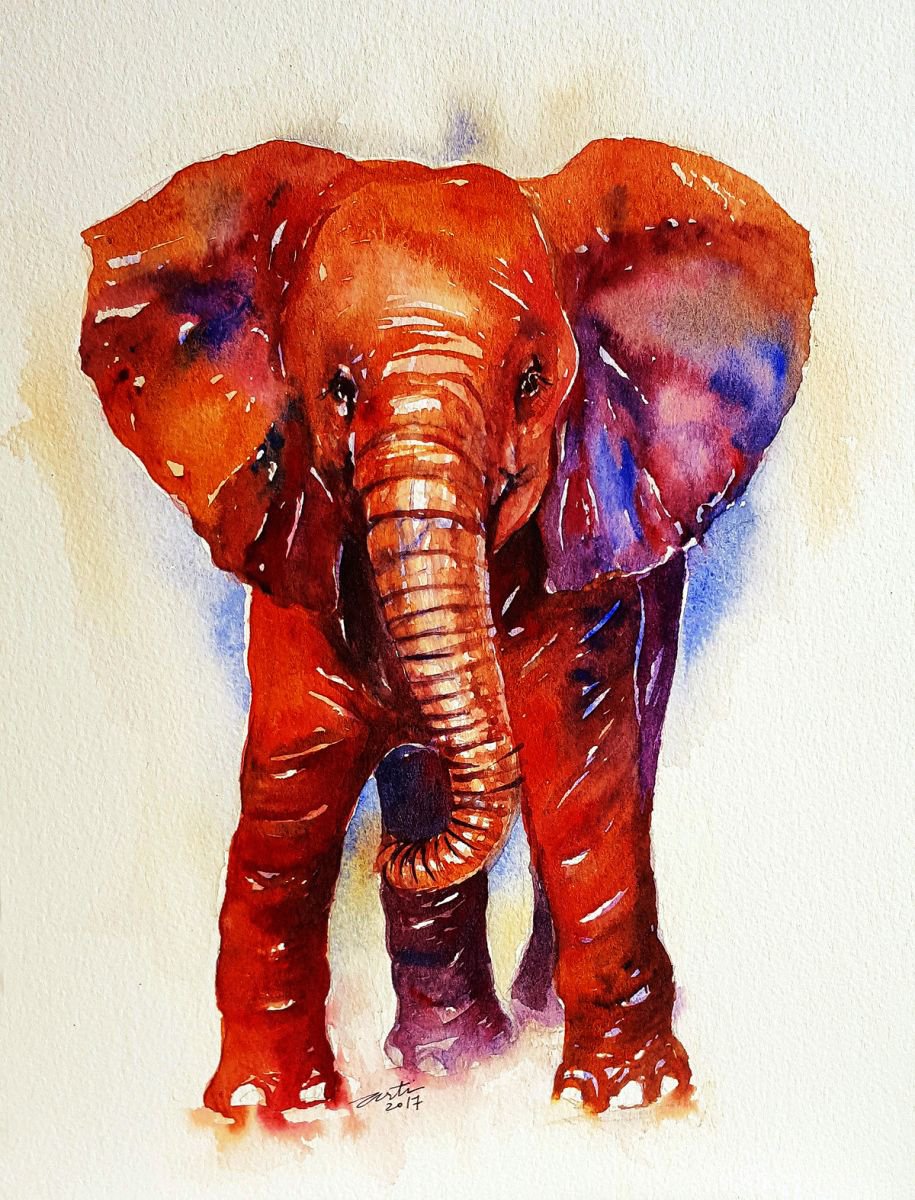 Terry the Baby Elephant by Arti Chauhan
