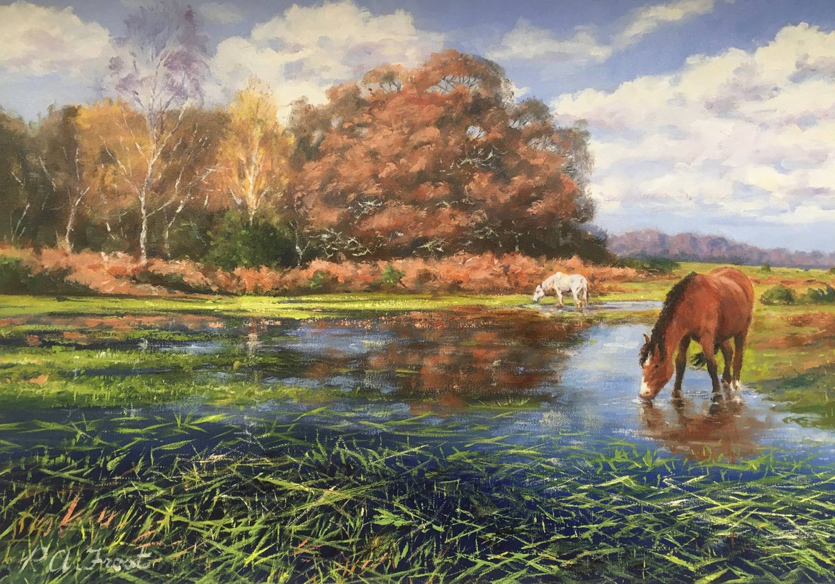 Flooded Pond by Peter Frost