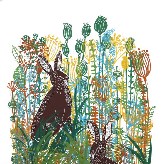 November Hares
