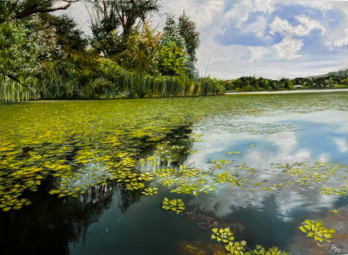 Photorealistic Pastel Drawing , Water Lilies And Cloud Reflections By Angelo Di Carlo, 16 X 12, Artwork For Sale On Artfinder