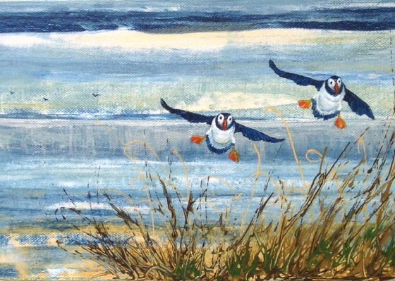 Home Time For the Puffins