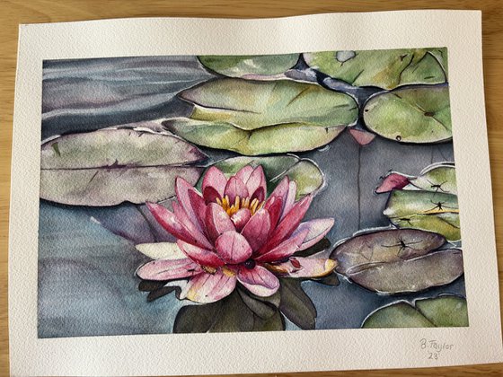 lily pads watercolour painting