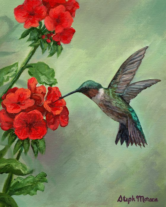 Hummingbird Happiness