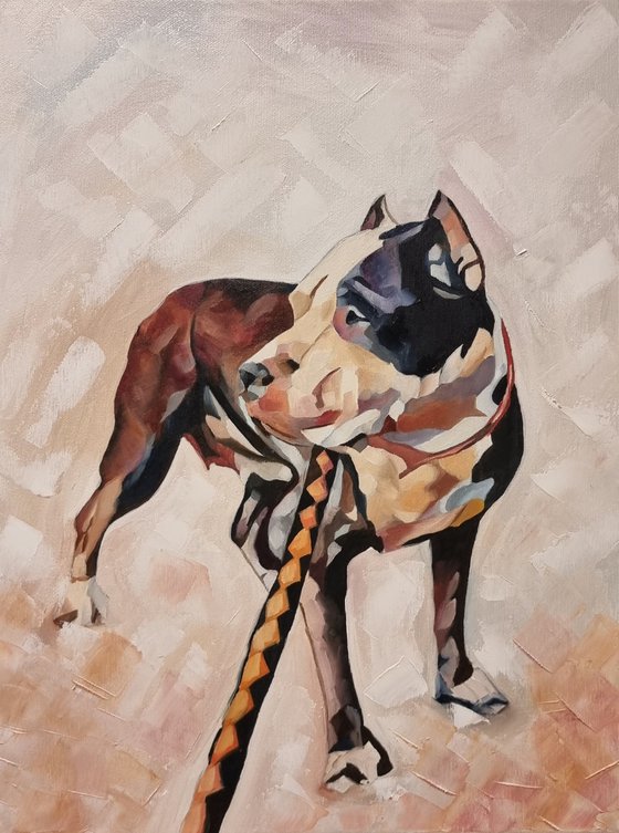 Pitbull dog - 40*50cm, oil painting