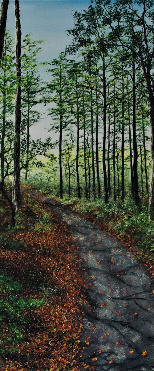 Forest Walk. 100cm X 100cm by Hazel Thomson