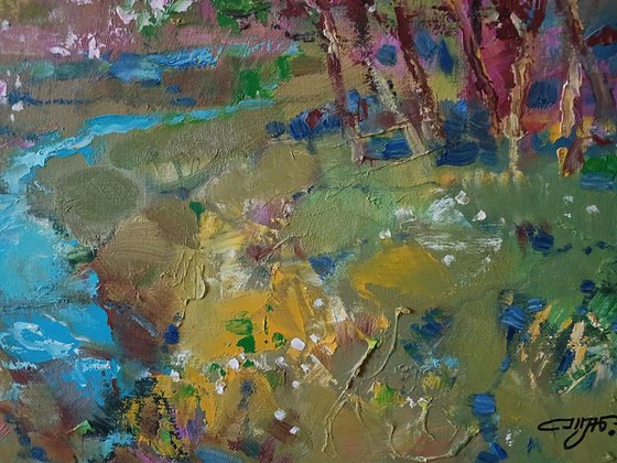 Spring Stream in the Forest