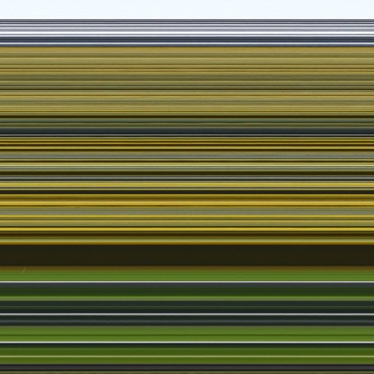 Photorealistic Abstract Giclee Print By Richard Jones & Chieko Jones, 18 X 18", I Was There - Sunflower Field, Original Artwork