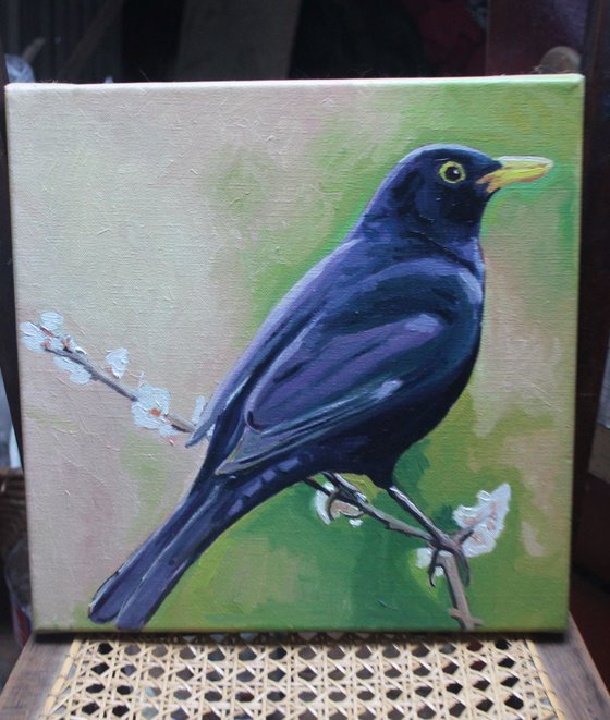 Blackbird #1