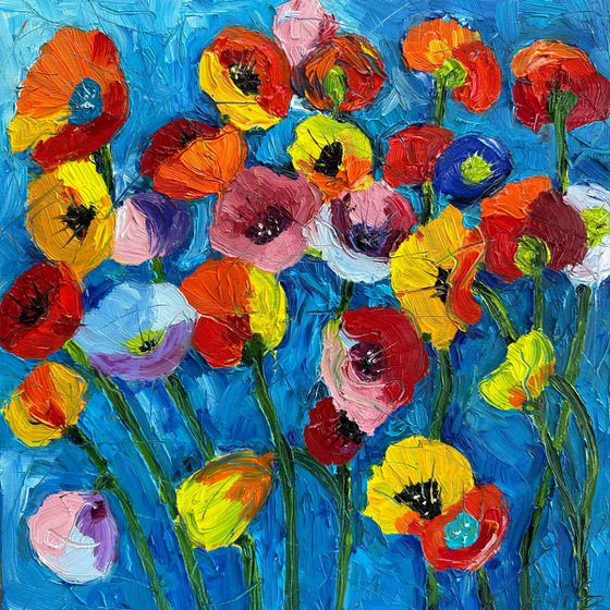 Colorful Poppies