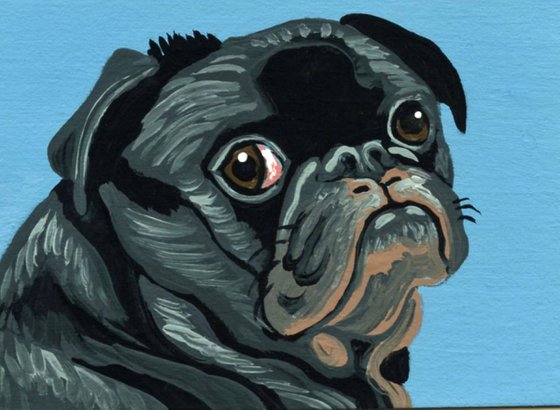 ACEO ATC Original Miniature Painting Black Pug Pet Dog Art-Carla Smale