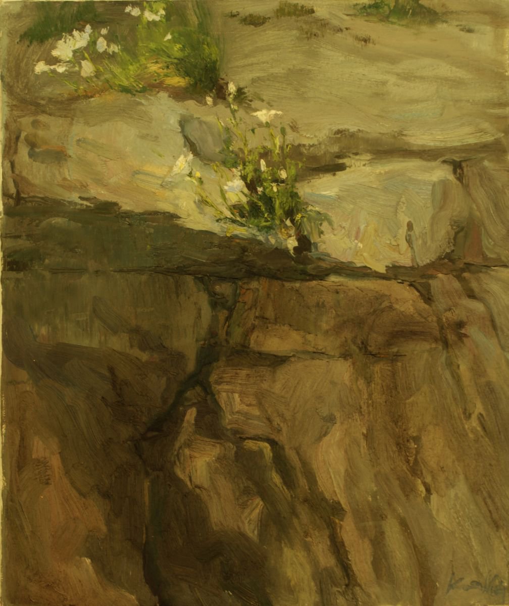 Impressionistic Botanical Oil Painting By Sergey Kostov, 20 X 24", Flowers On The Rocks, Original Artwork