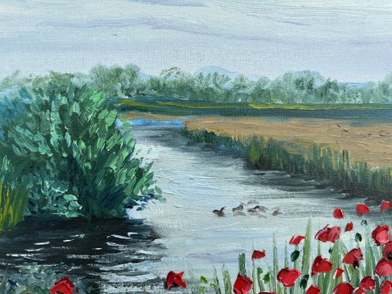 Red poppies by the water. Pleinair painting