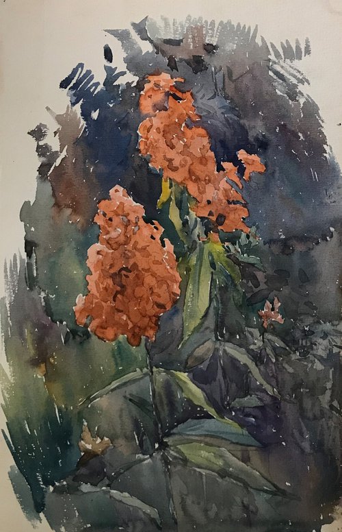 Flowers in the garden by Viktor Mishurovskiy