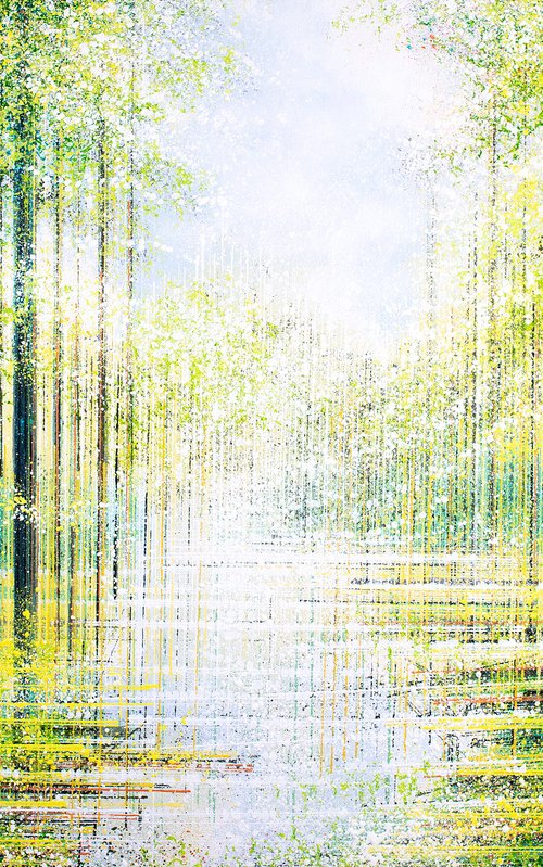 Summer Forest In Bright Light by Marc Todd