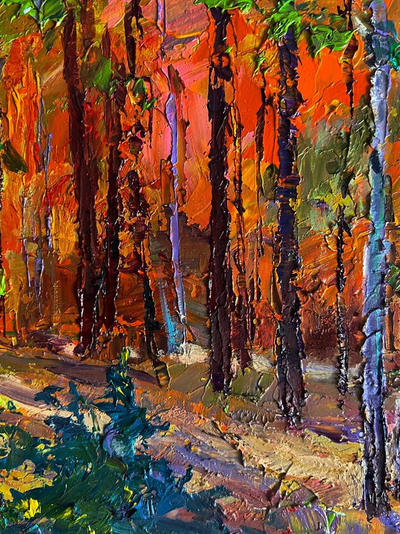 Autumn in the Forest