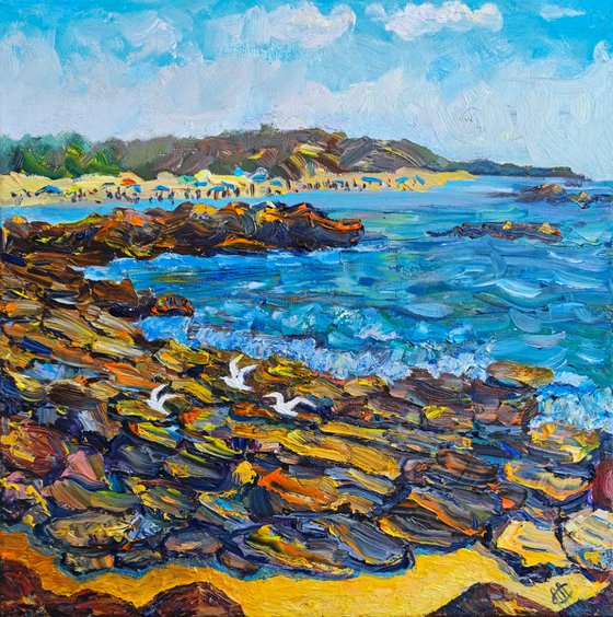Mediterranean Reefs at Tel Dor