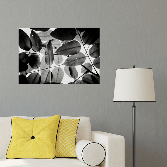 Experiments with Leaves I | Limited Edition Fine Art Print 1 of 10 | 75 x 50 cm