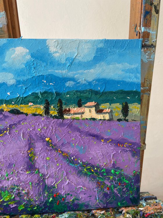 Tuscan Lavender Field