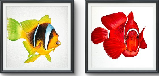 Exotic Yellow Red fish