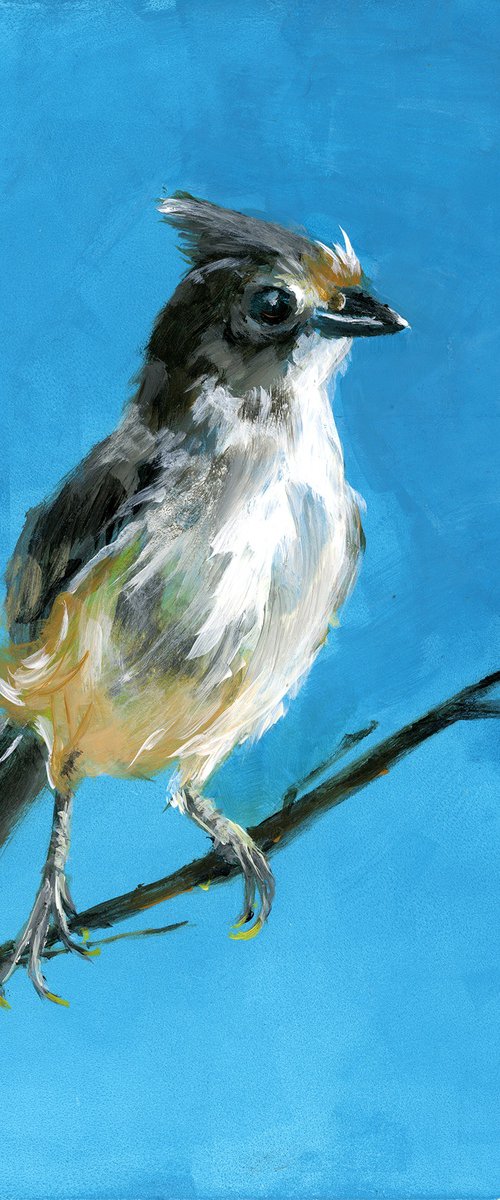 Tufted Titmouse - Original Acrylic Painting by Olga Tchefranov (Shefranov)