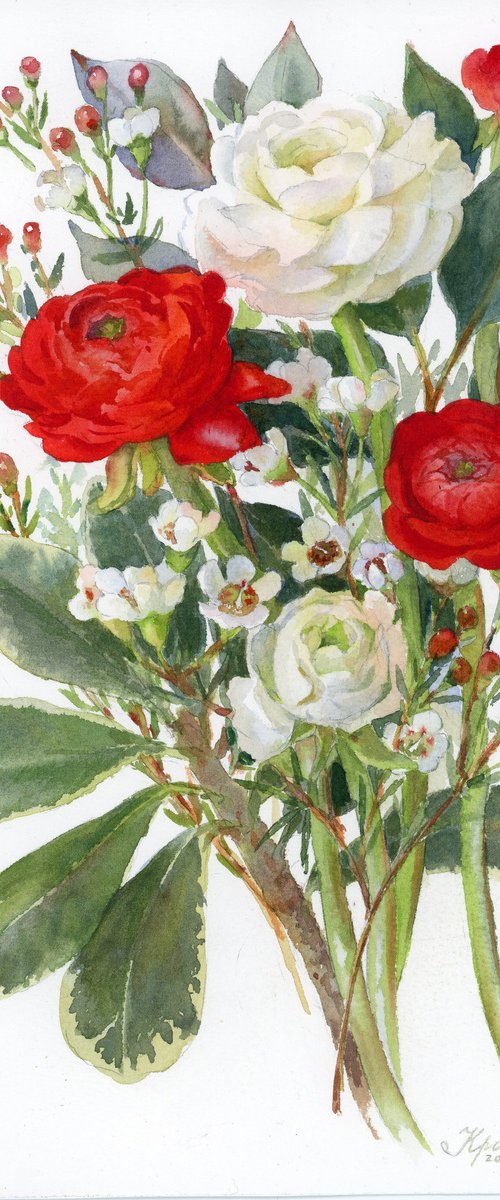 White and red ranunculus by Yulia Krasnov